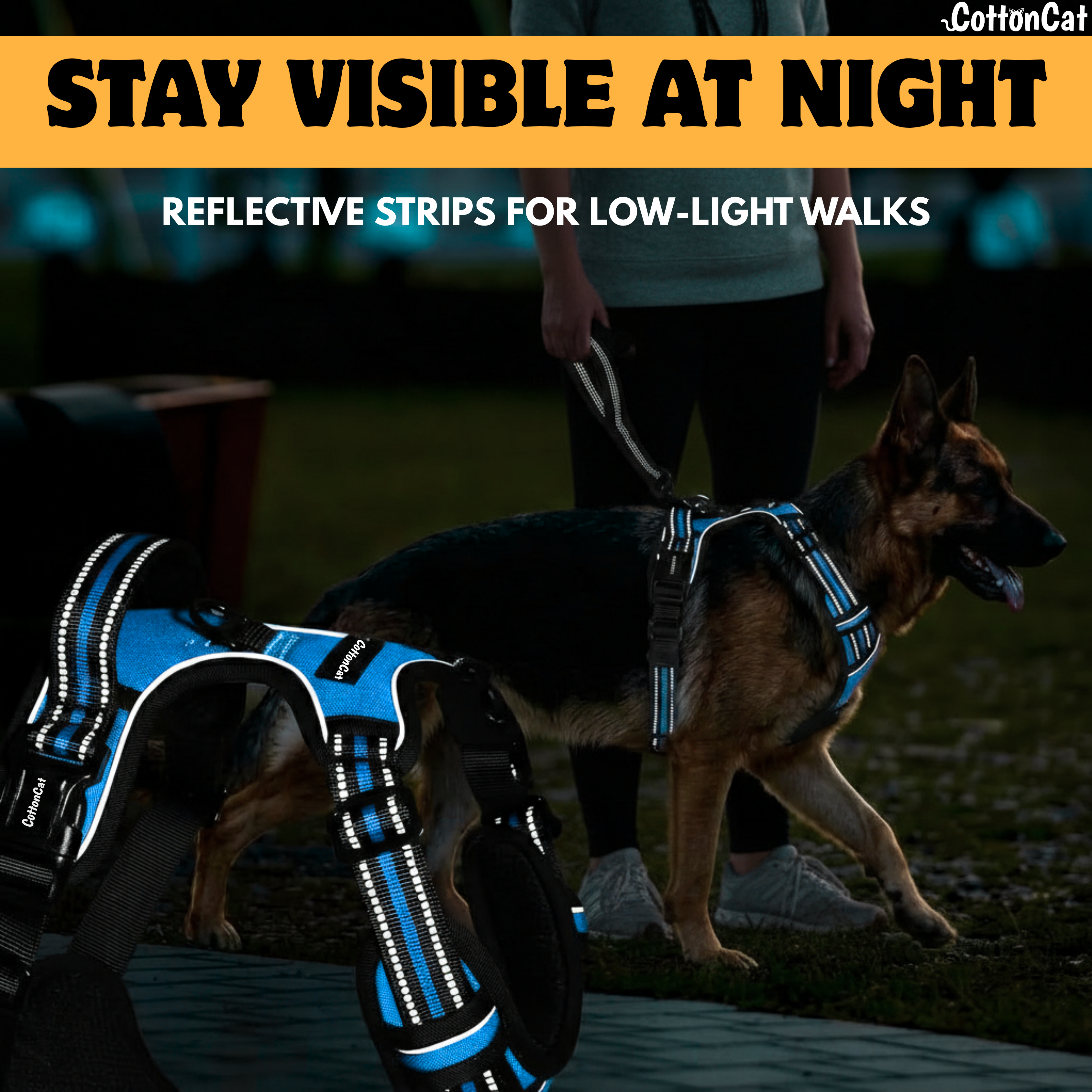 Dog Cat No Pull Harness With Reflective Leash Sky Blue