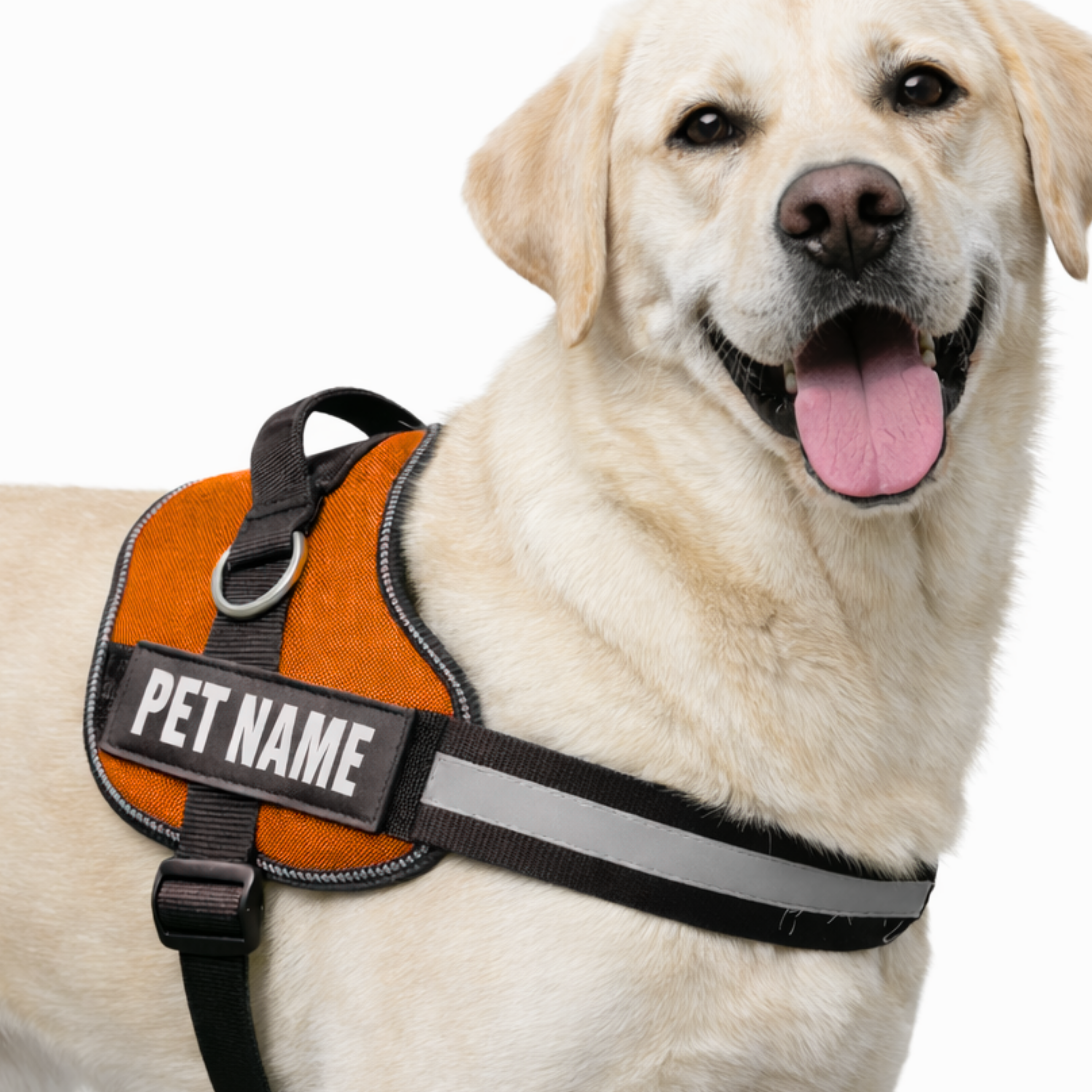 Personalized Dog Harness with Name & Phone Number Orange