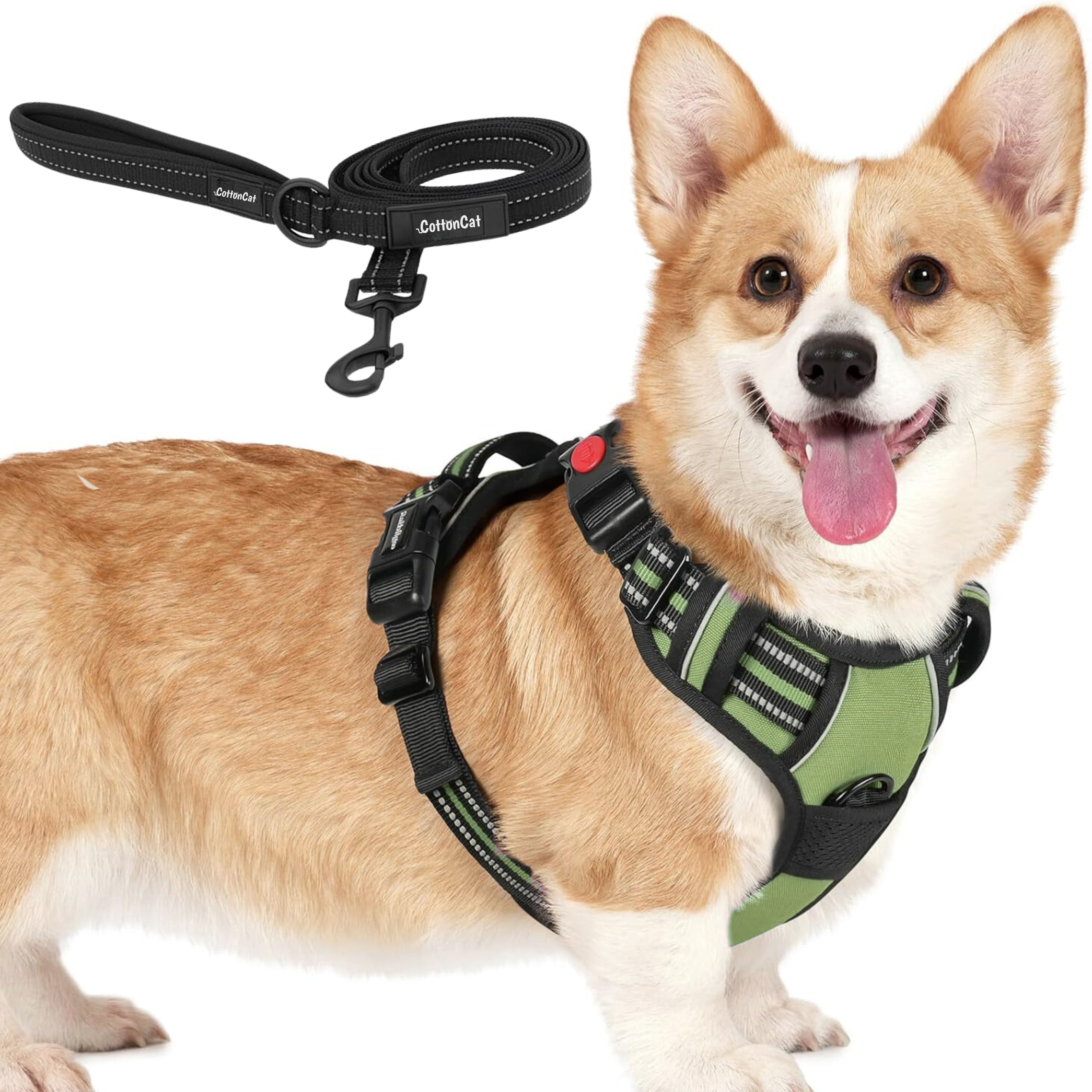 Dog Cat No Pull Harness With Reflective Leash Green