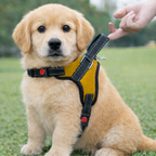 Cat Dog Reflective Harness Yellow