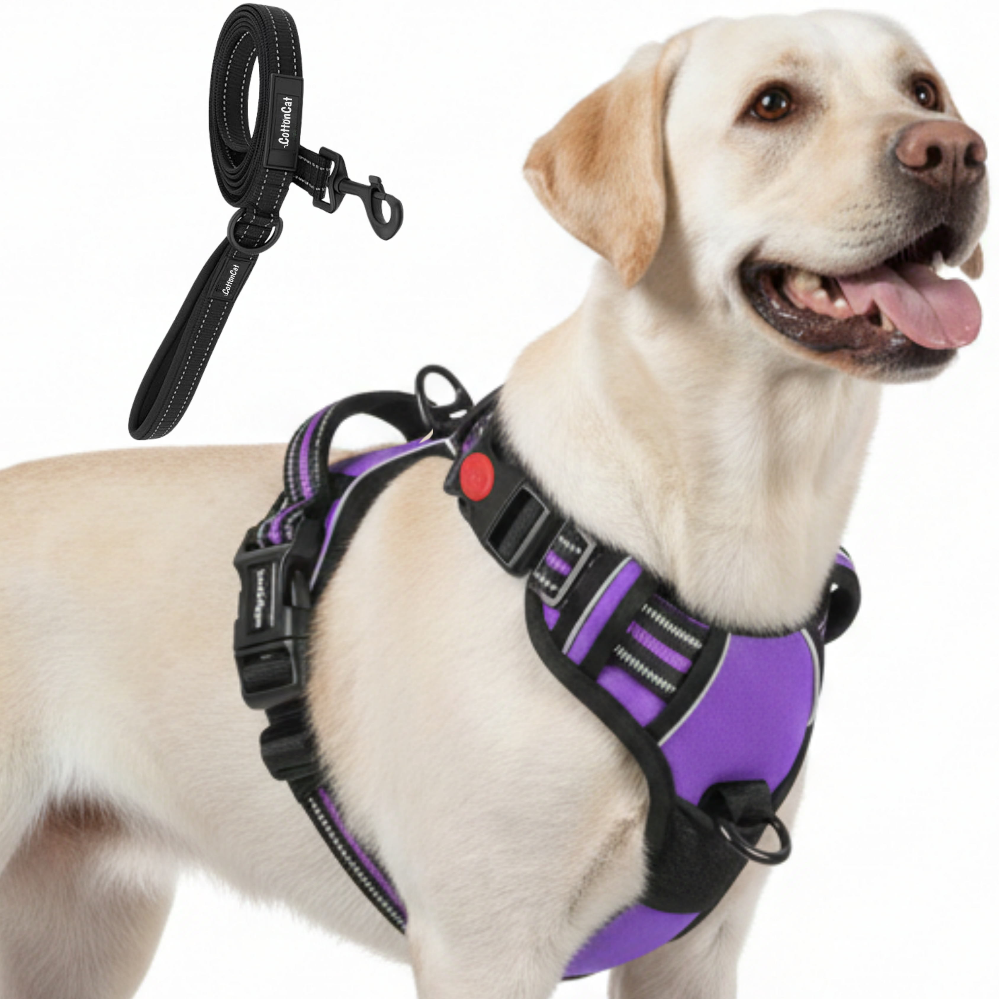 Dog Cat No Pull Harness With Reflective Leash Purple