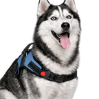 Cat Dog Reflective Harness Sky Blue