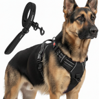 Dog Cat No Pull Harness With Reflective Leash Black