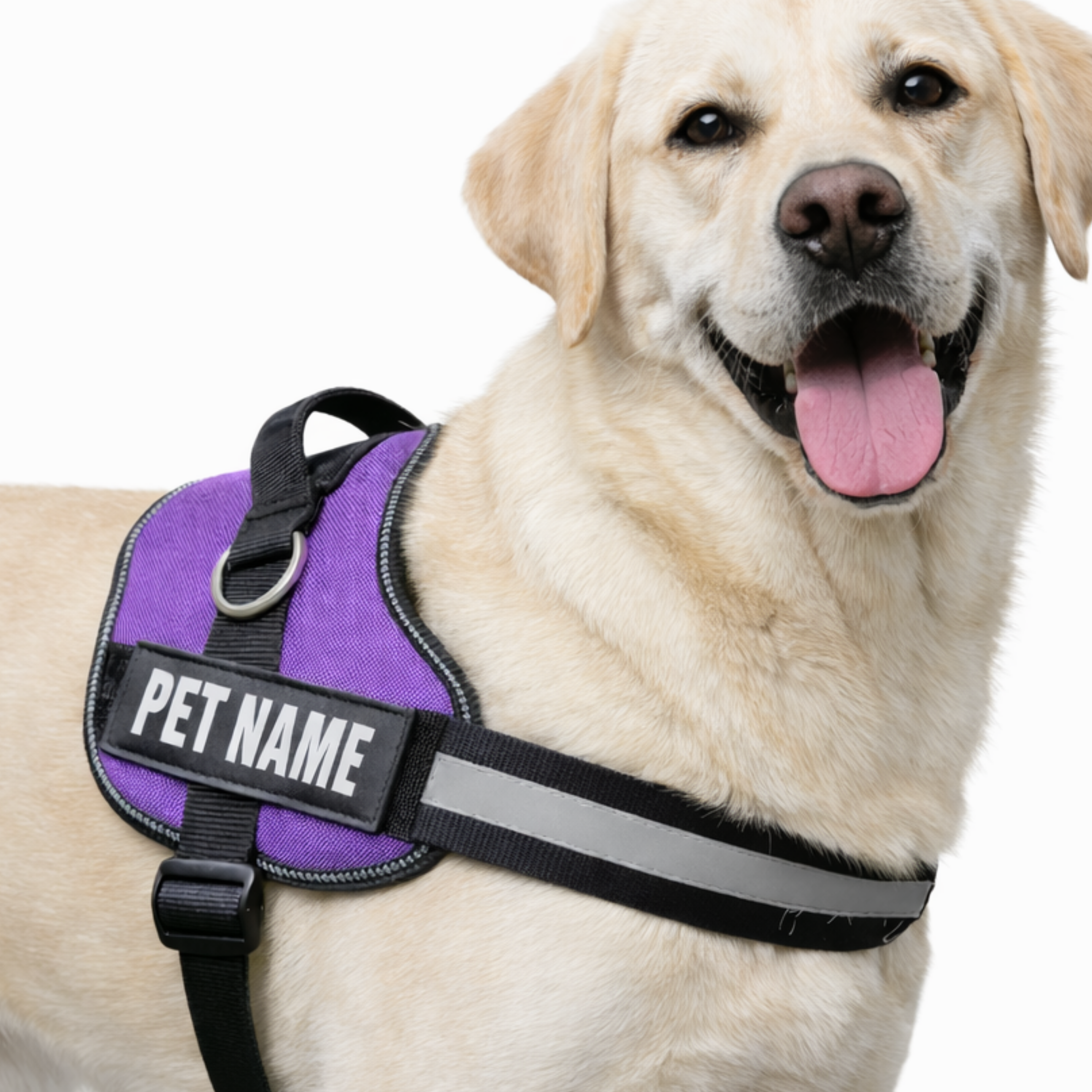 Personalized Dog Harness with Name & Phone Number Purple