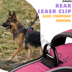 Dog Cat No Pull Harness With Reflective Leash Hot Pink
