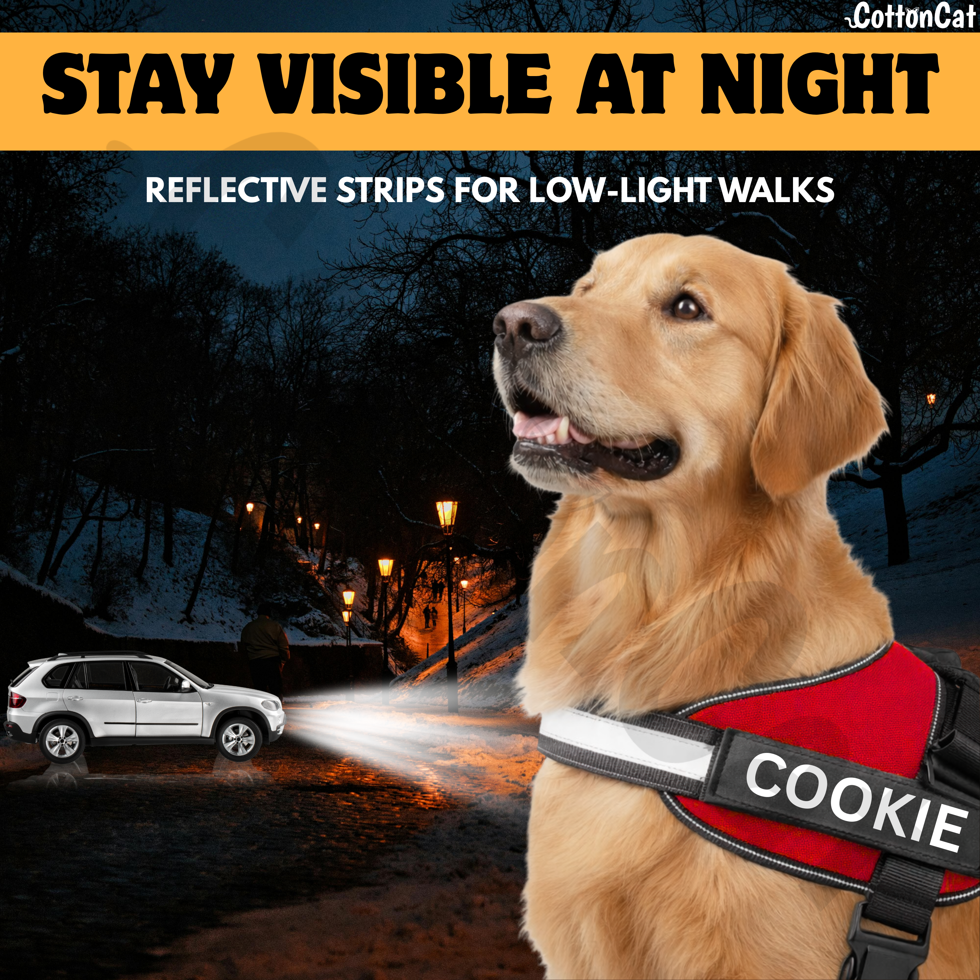 Personalized Dog Harness with Name & Phone Number Red