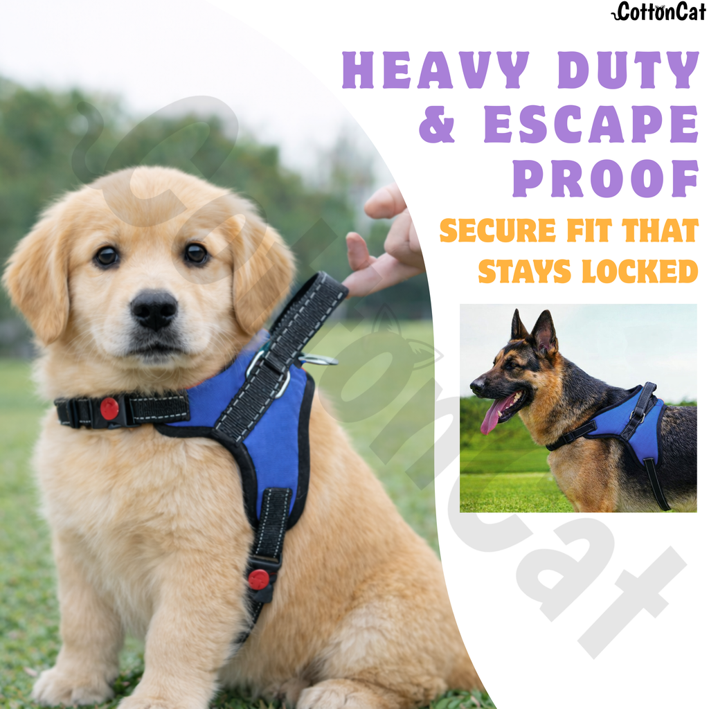 Cat Dog Reflective Harness Blue