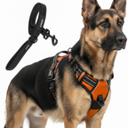 Dog Cat No Pull Harness With Reflective Leash Orange