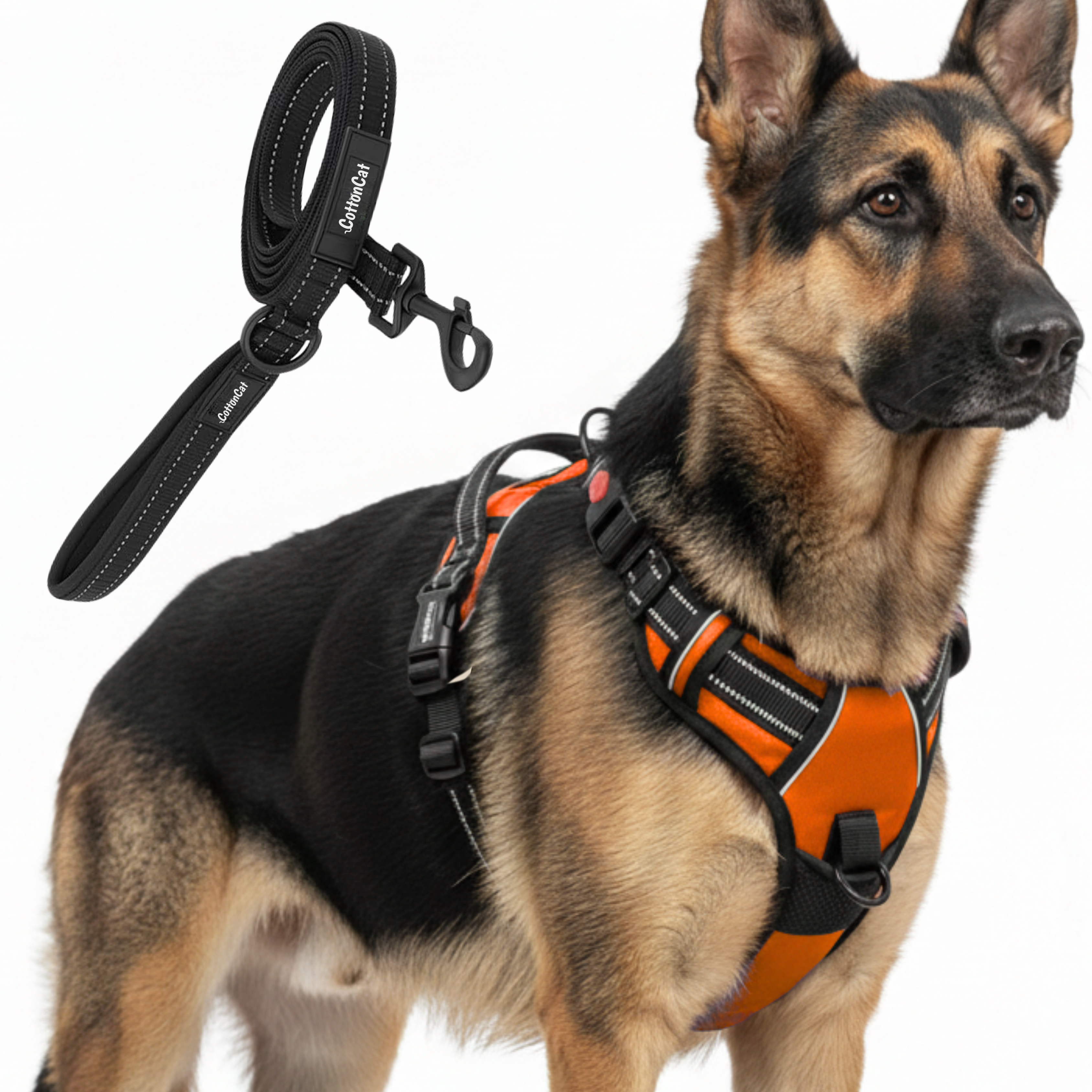 Dog Cat No Pull Harness With Reflective Leash Orange