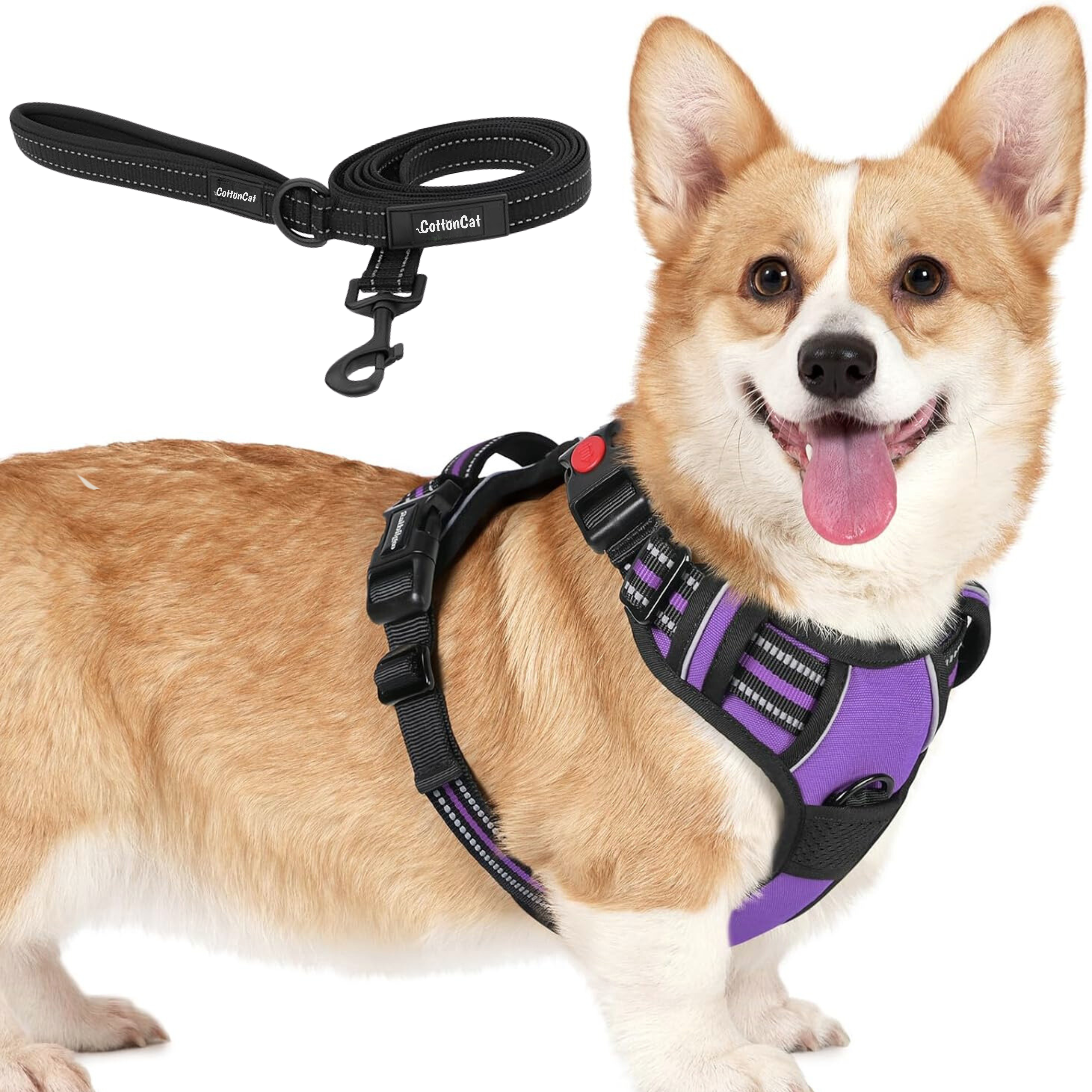 Dog Cat No Pull Harness With Reflective Leash Purple