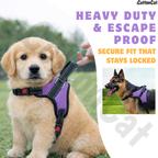 Cat Dog Reflective Harness Purple