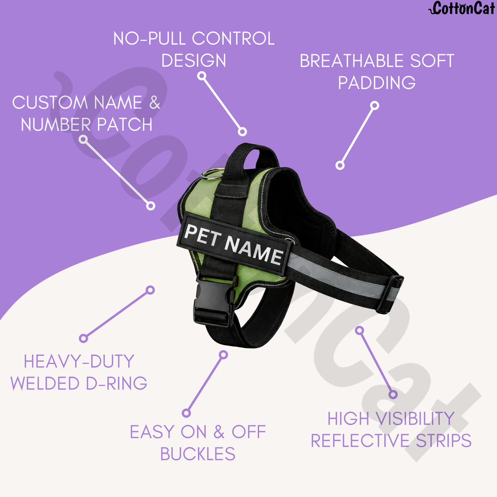 Personalized Dog Harness with Name & Phone Number Green