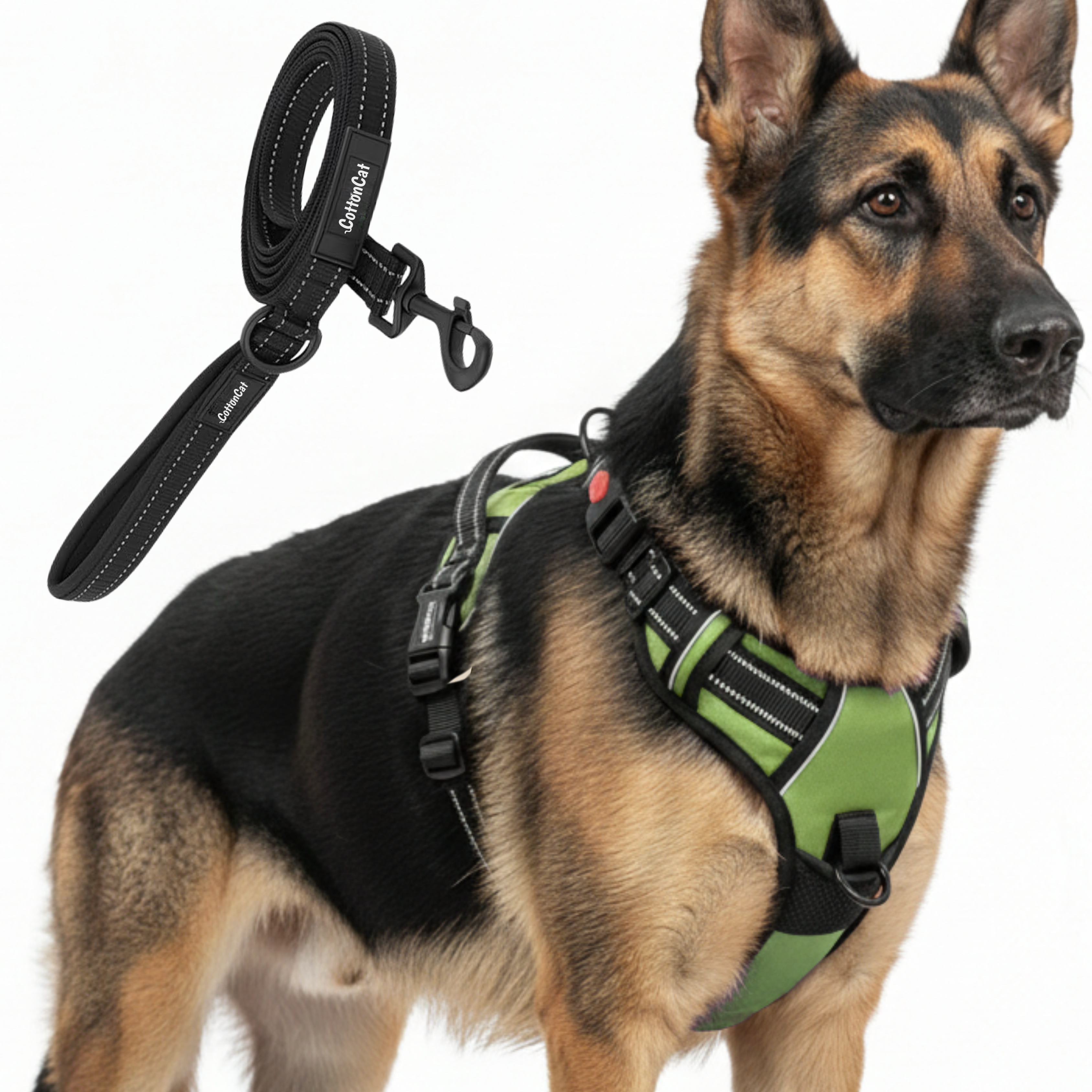 Dog Cat No Pull Harness With Reflective Leash Green