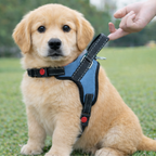 Cat Dog Reflective Harness Sky Blue