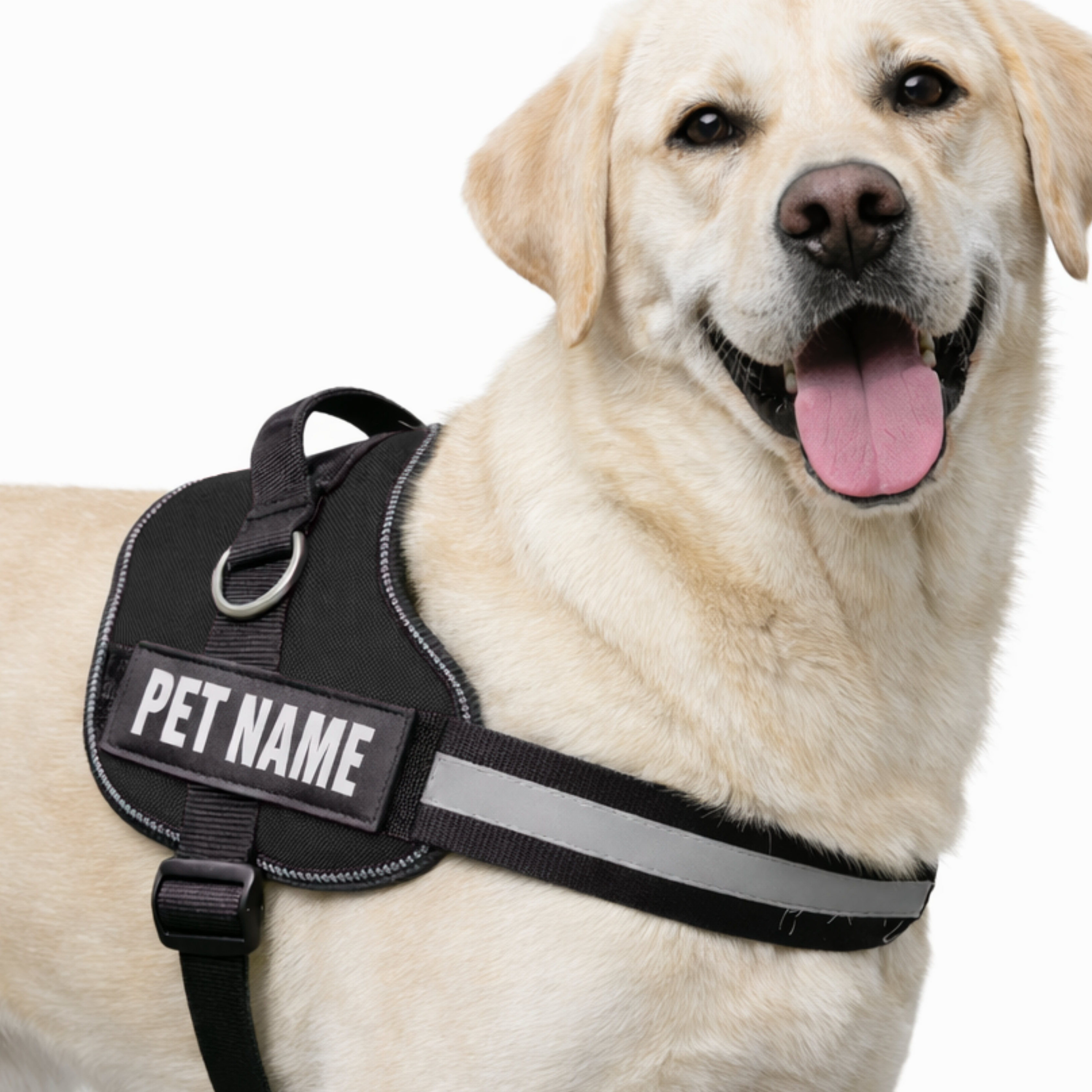 Personalized Dog Harness with Name & Phone Number Black
