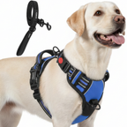 Dog Cat No Pull Harness With Reflective Leash Blue