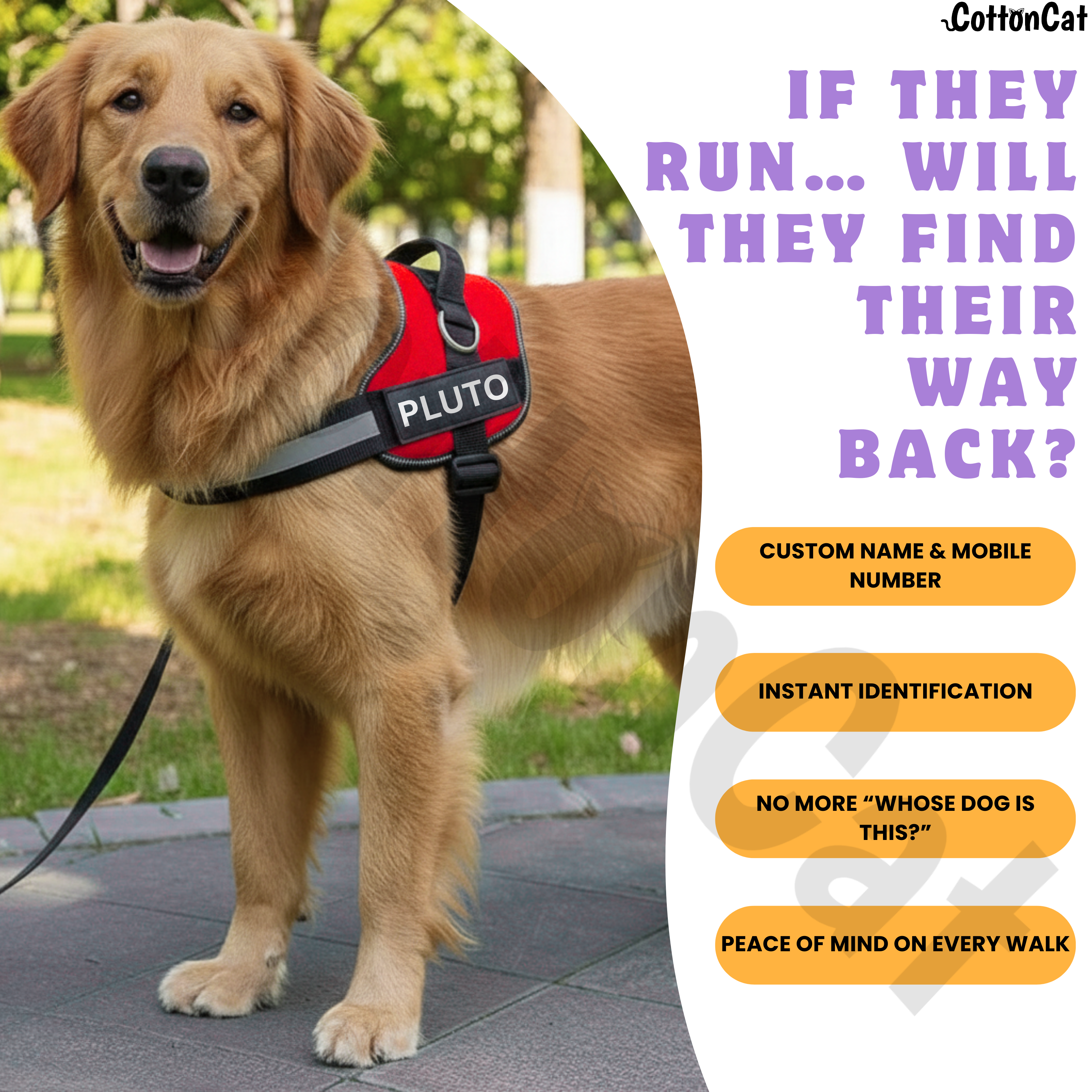 Personalized Dog Harness with Name & Phone Number Red