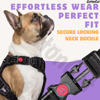 Dog Cat No Pull Harness With Reflective Leash Black