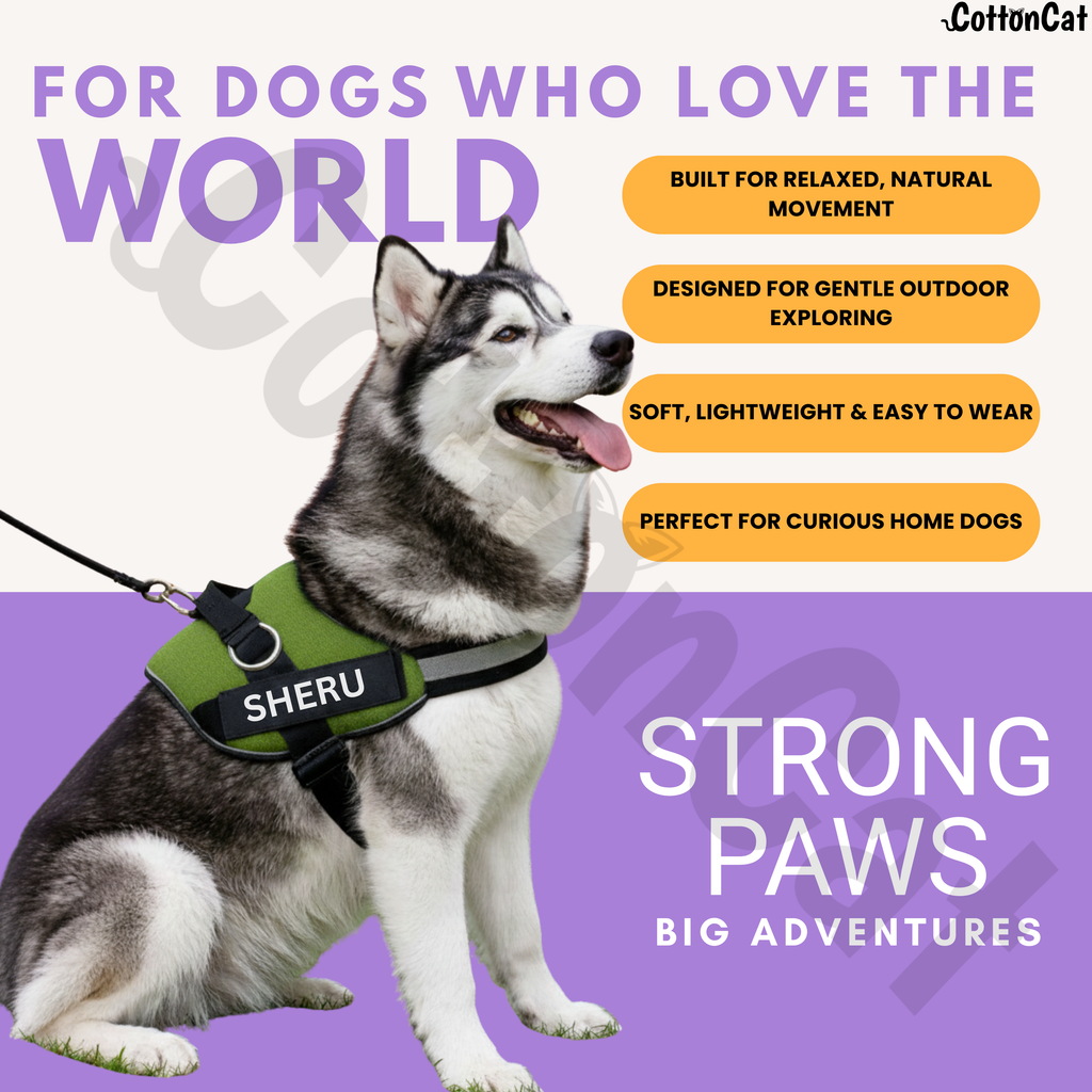 Personalized Dog Harness with Name & Phone Number Green