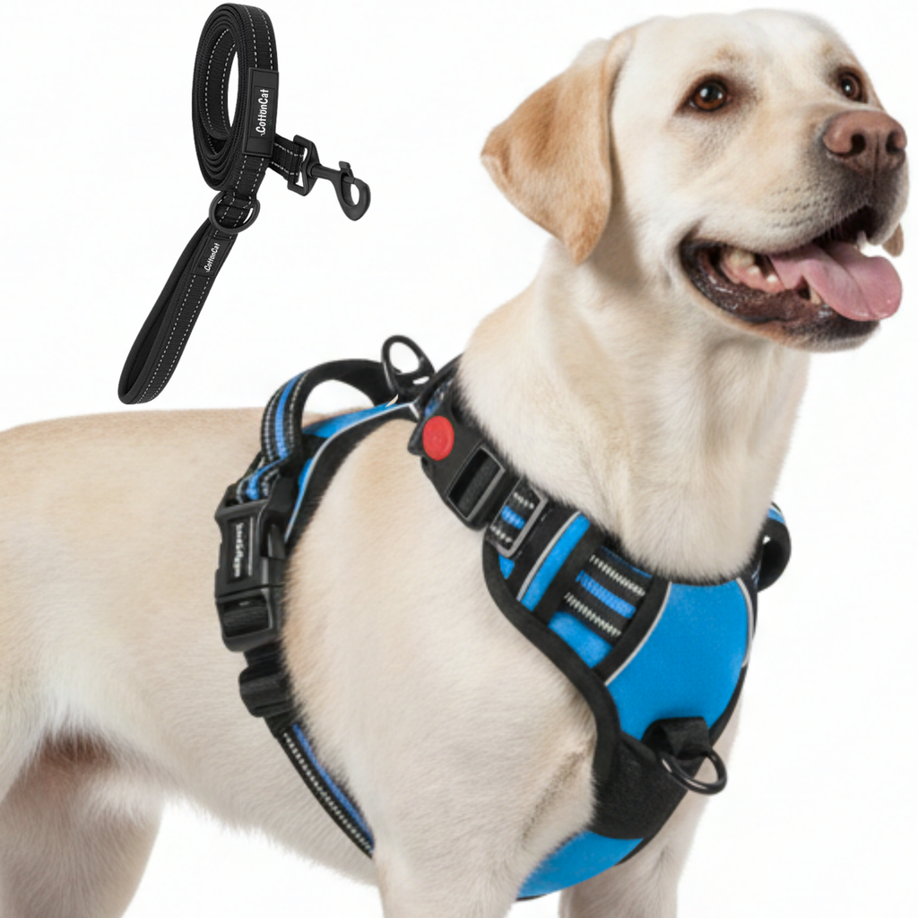 Dog Cat No Pull Harness With Reflective Leash Sky Blue