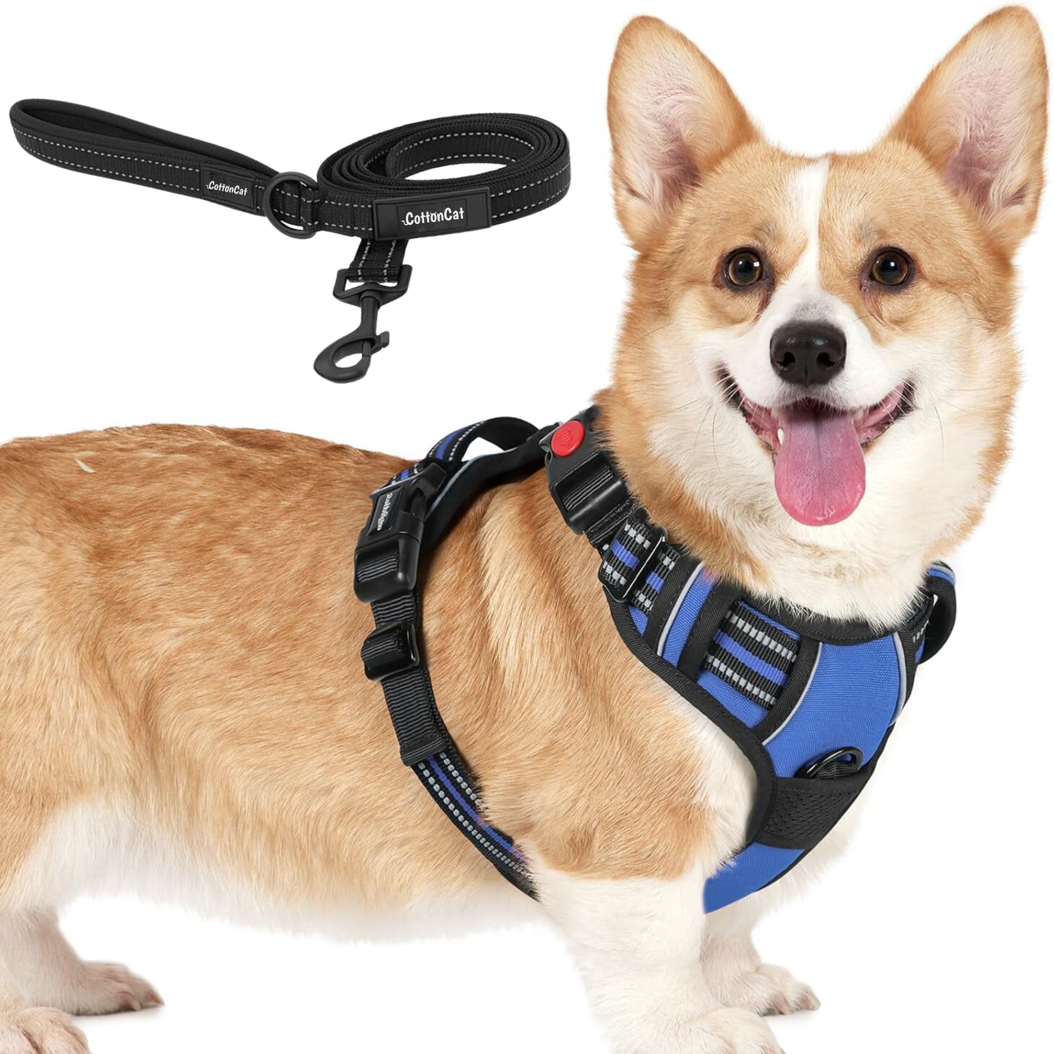 Dog Cat No Pull Harness With Reflective Leash Blue