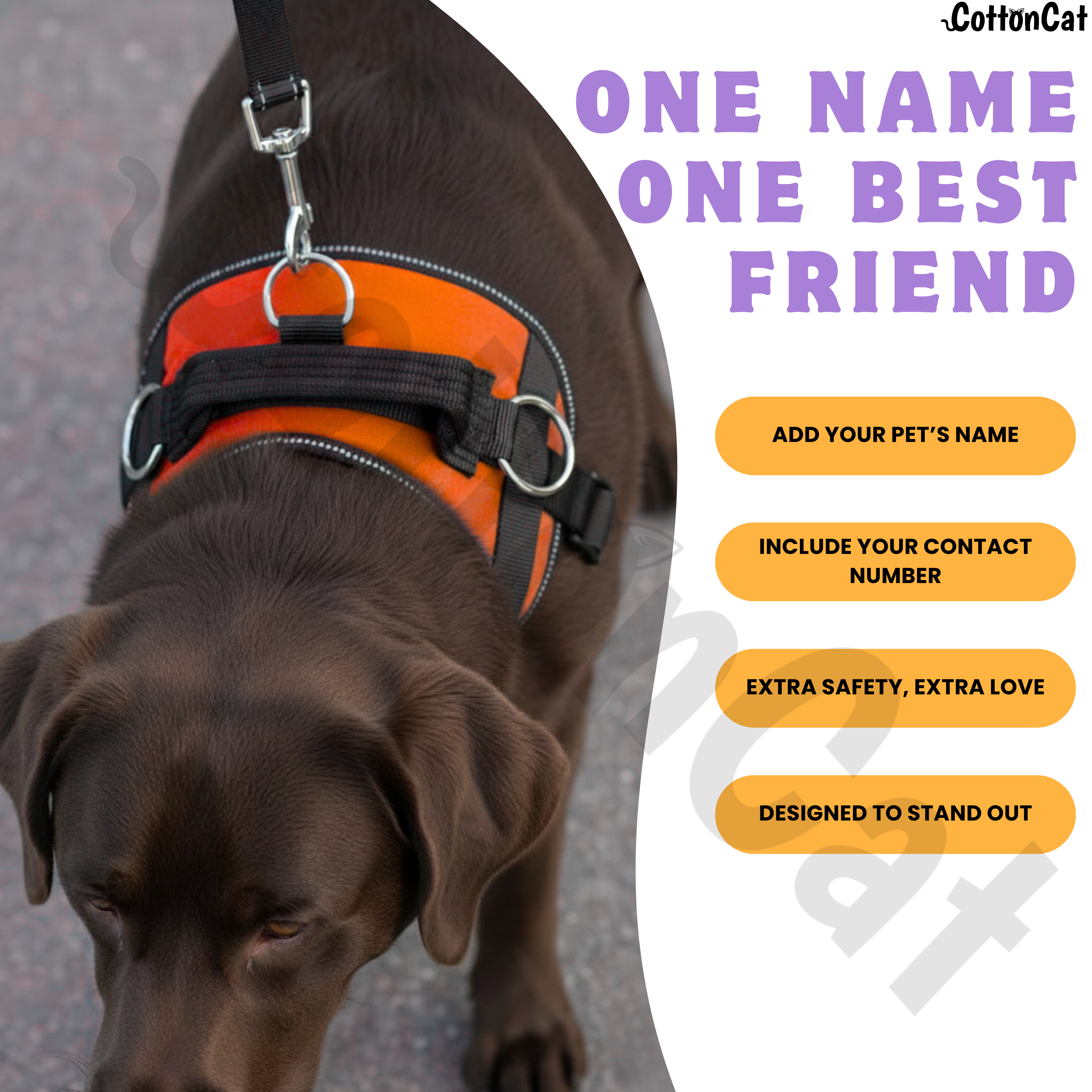 Personalized Dog Harness with Name & Phone Number Orange
