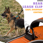 Dog Cat No Pull Harness With Reflective Leash Orange