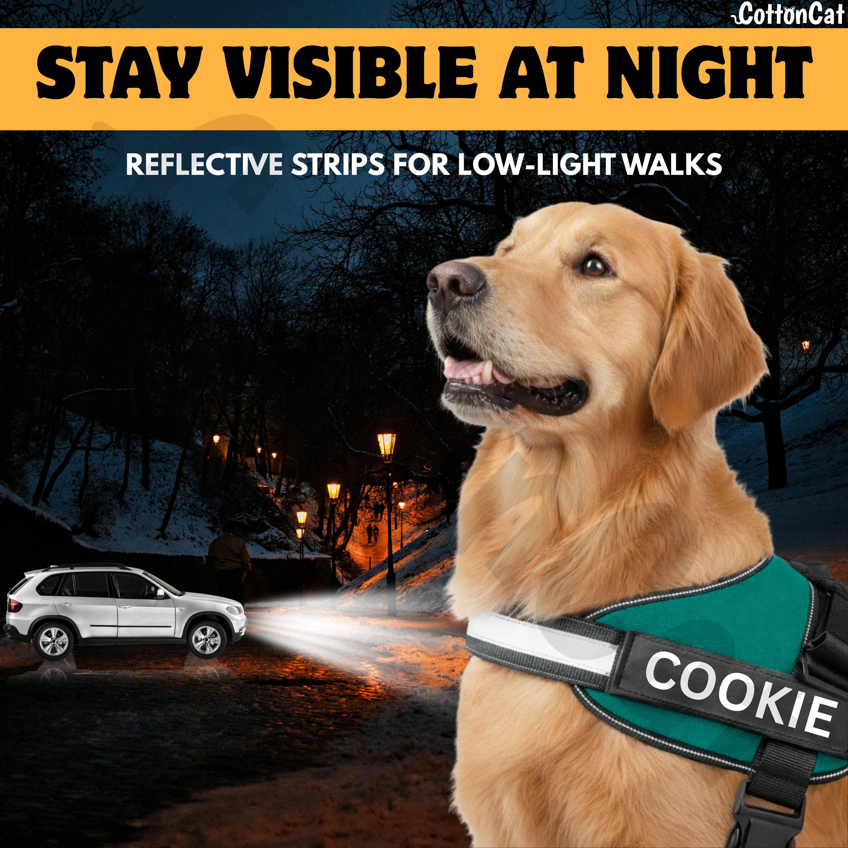 Personalized Dog Harness with Name & Phone Number Teal