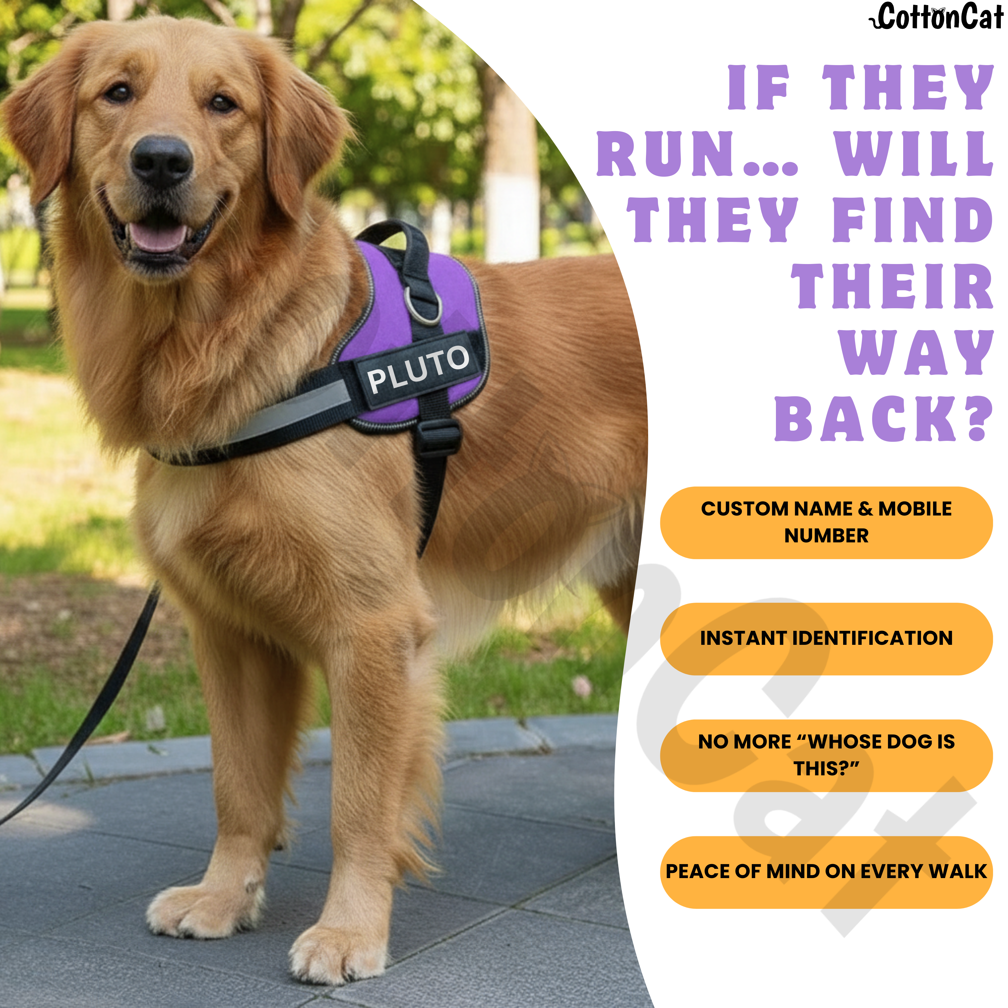 Personalized Dog Harness with Name & Phone Number Purple