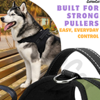 Cat Dog Reflective Harness Green