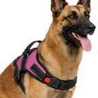 Cat Dog Reflective Harness Hot Pink