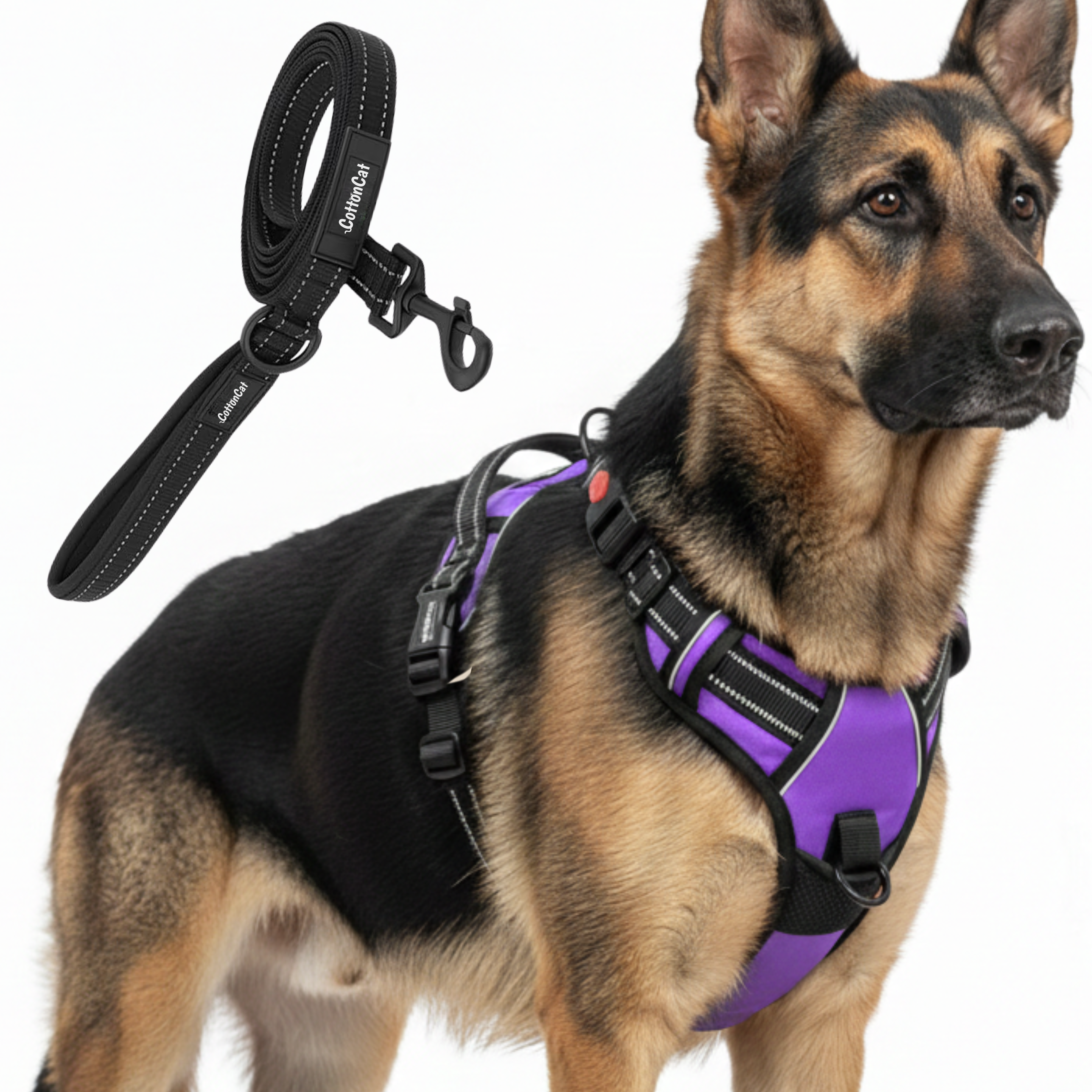 Dog Cat No Pull Harness With Reflective Leash Purple