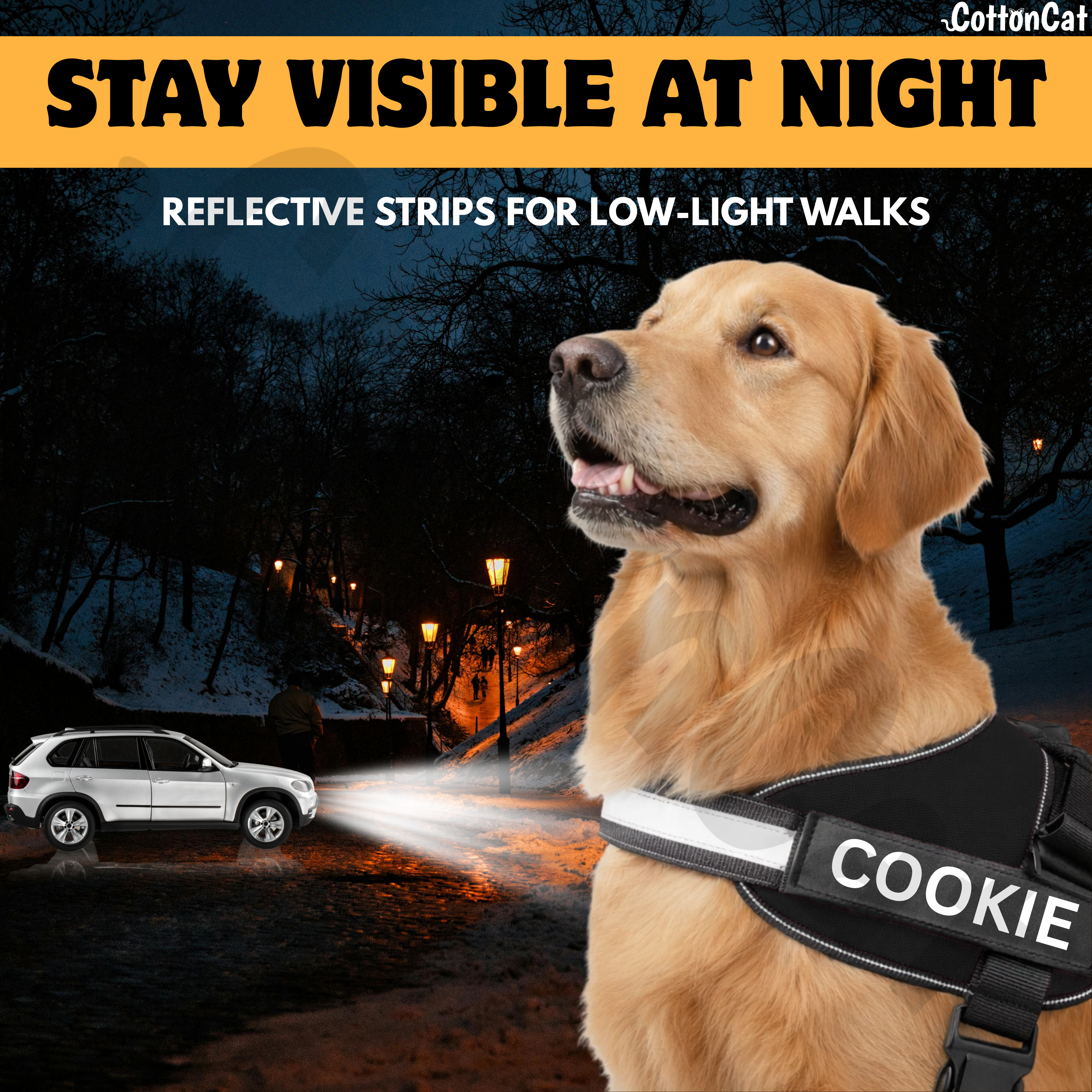 Personalized Dog Harness with Name & Phone Number Black