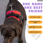 Personalized Dog Harness with Name & Phone Number Red