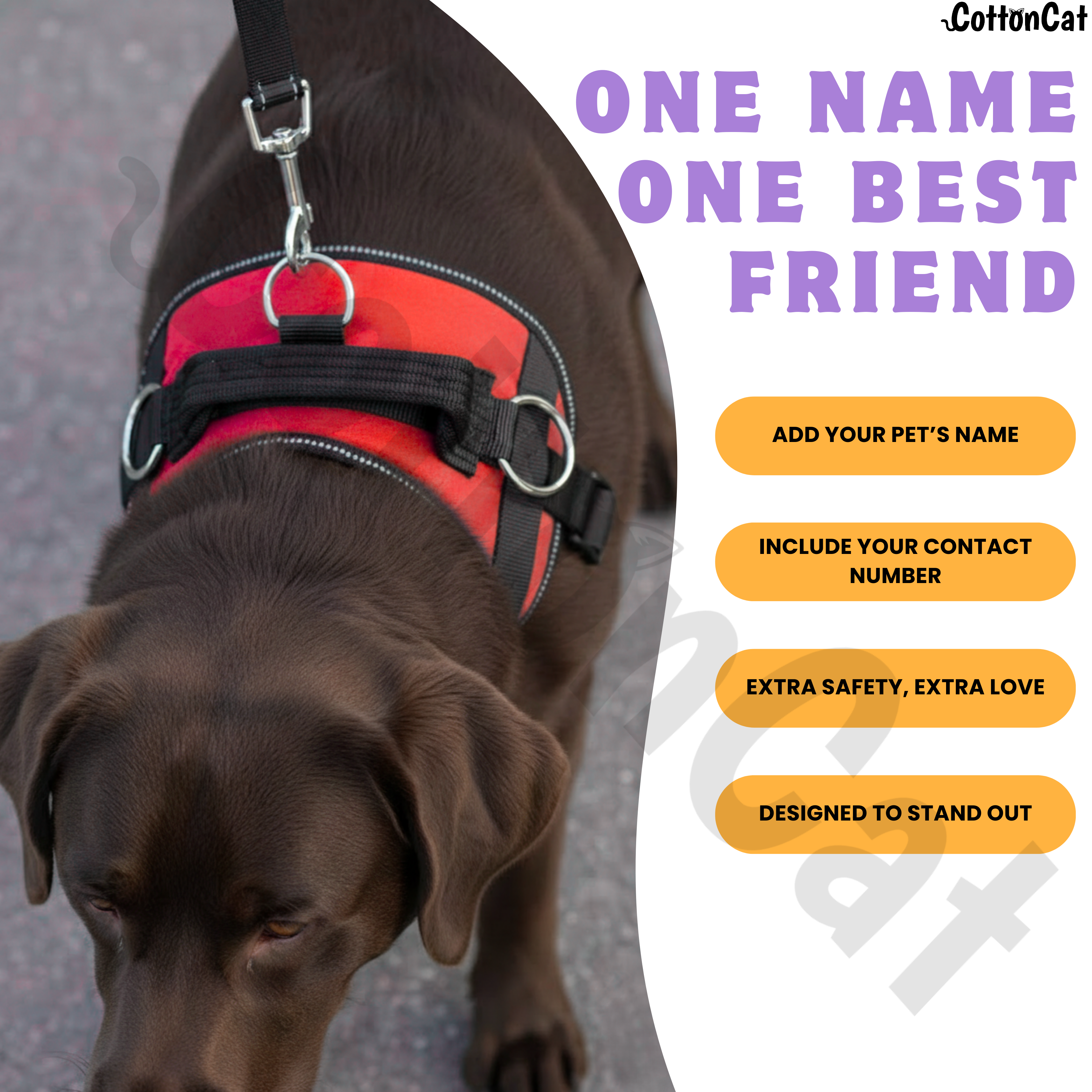 Personalized Dog Harness with Name & Phone Number Red
