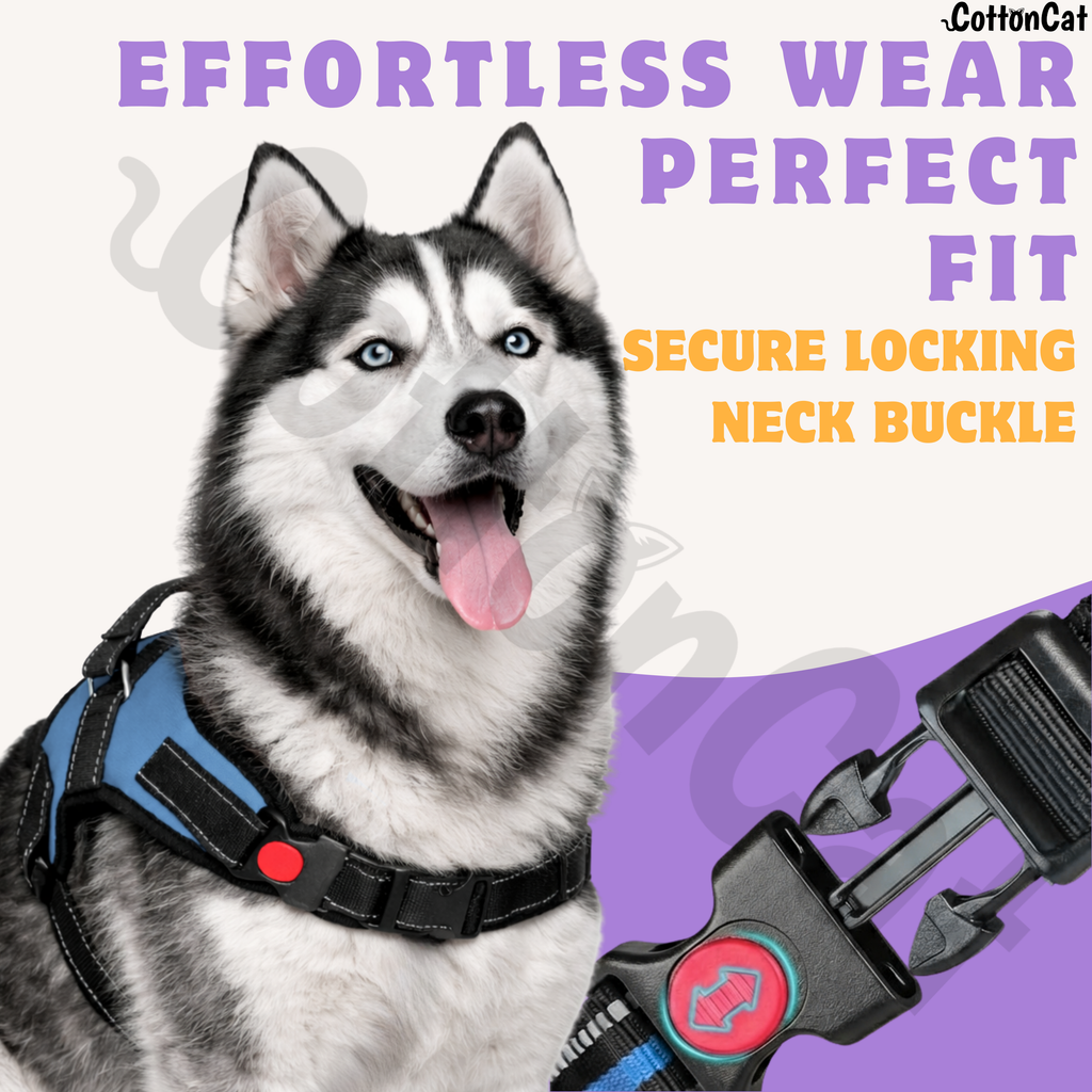 Cat Dog Reflective Harness Sky Blue