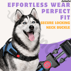 Cat Dog Reflective Harness Sky Blue