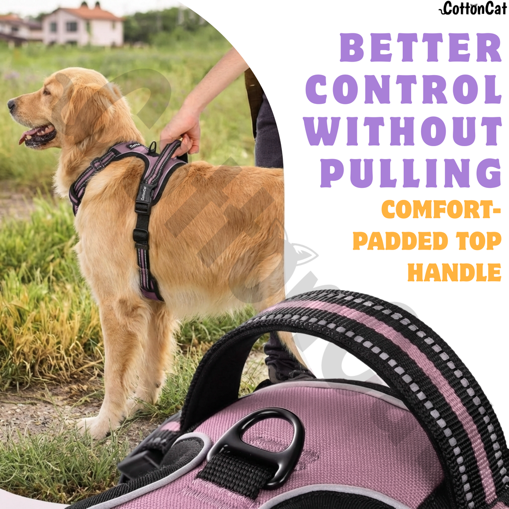 Dog Cat No Pull Harness With Reflective Leash Pink