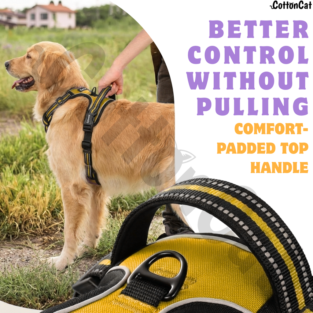 Dog Cat No Pull Harness With Reflective Leash Yellow