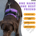 Personalized Dog Harness with Name & Phone Number Purple