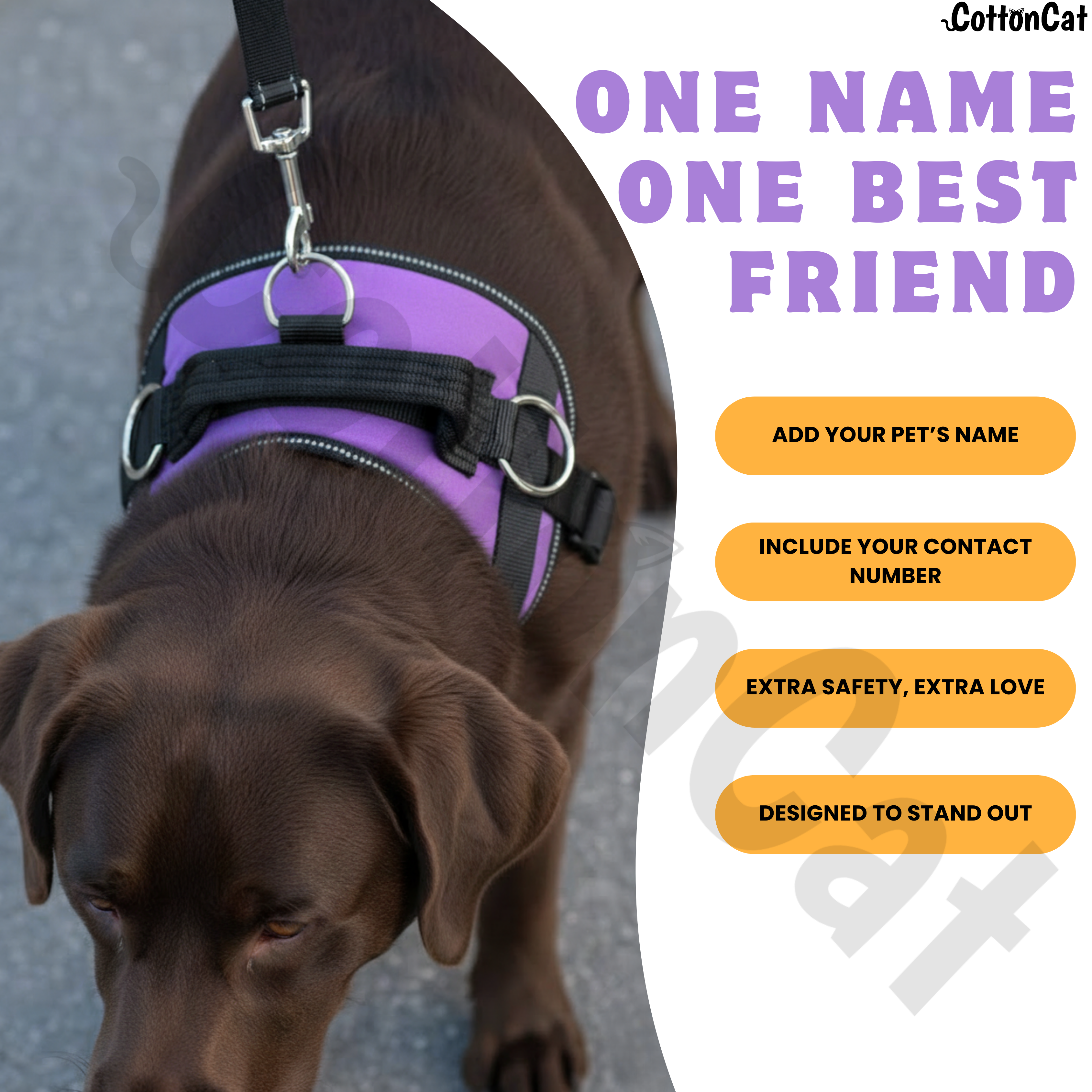 Personalized Dog Harness with Name & Phone Number Purple