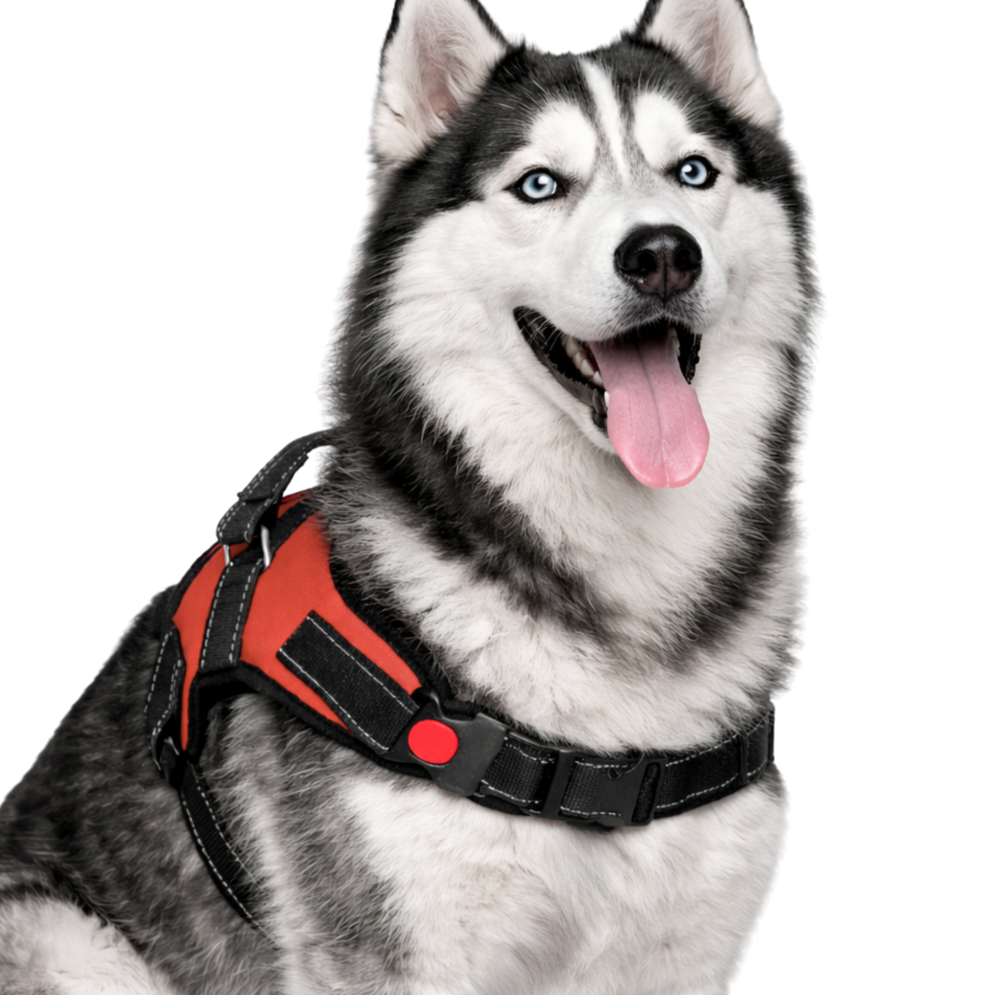 Cat Dog Reflective Harness Red
