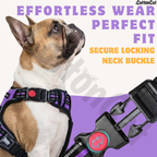 Dog Cat No Pull Harness With Reflective Leash Purple