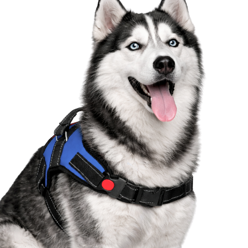 Cat Dog Reflective Harness Blue