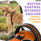 Dog Cat No Pull Harness With Reflective Leash Orange