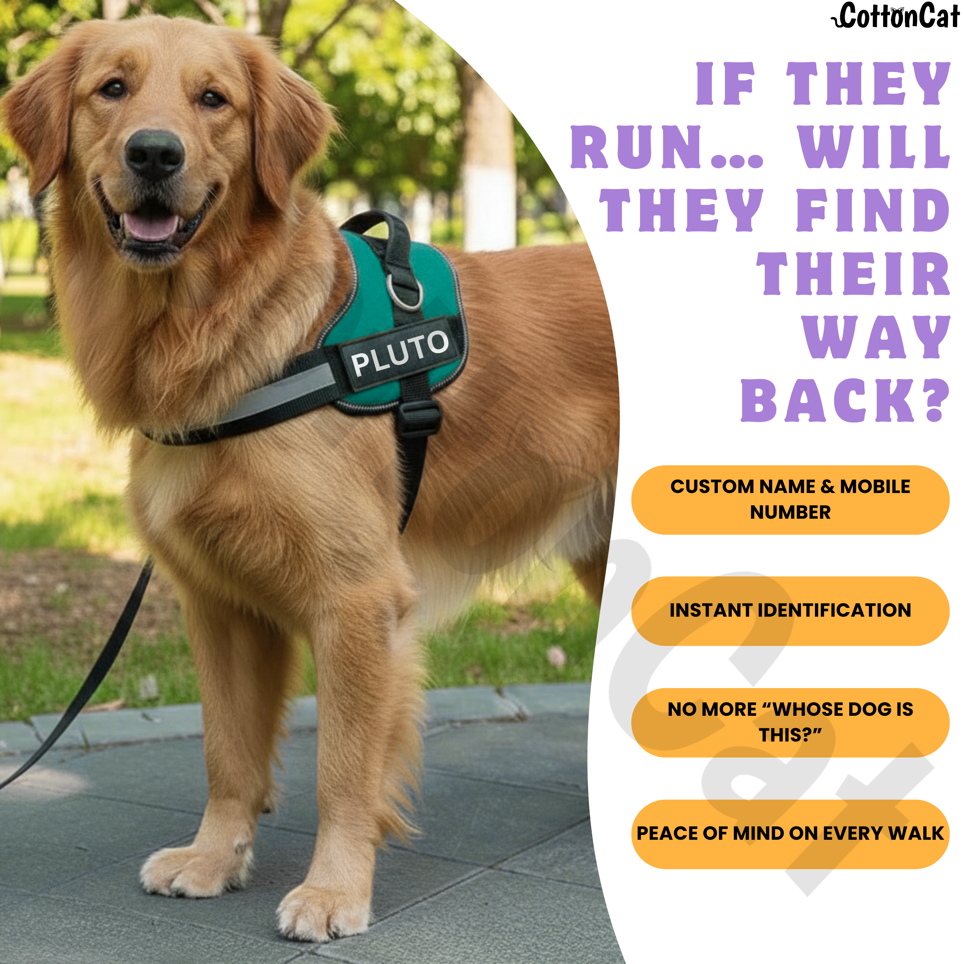 Personalized Dog Harness with Name & Phone Number Teal