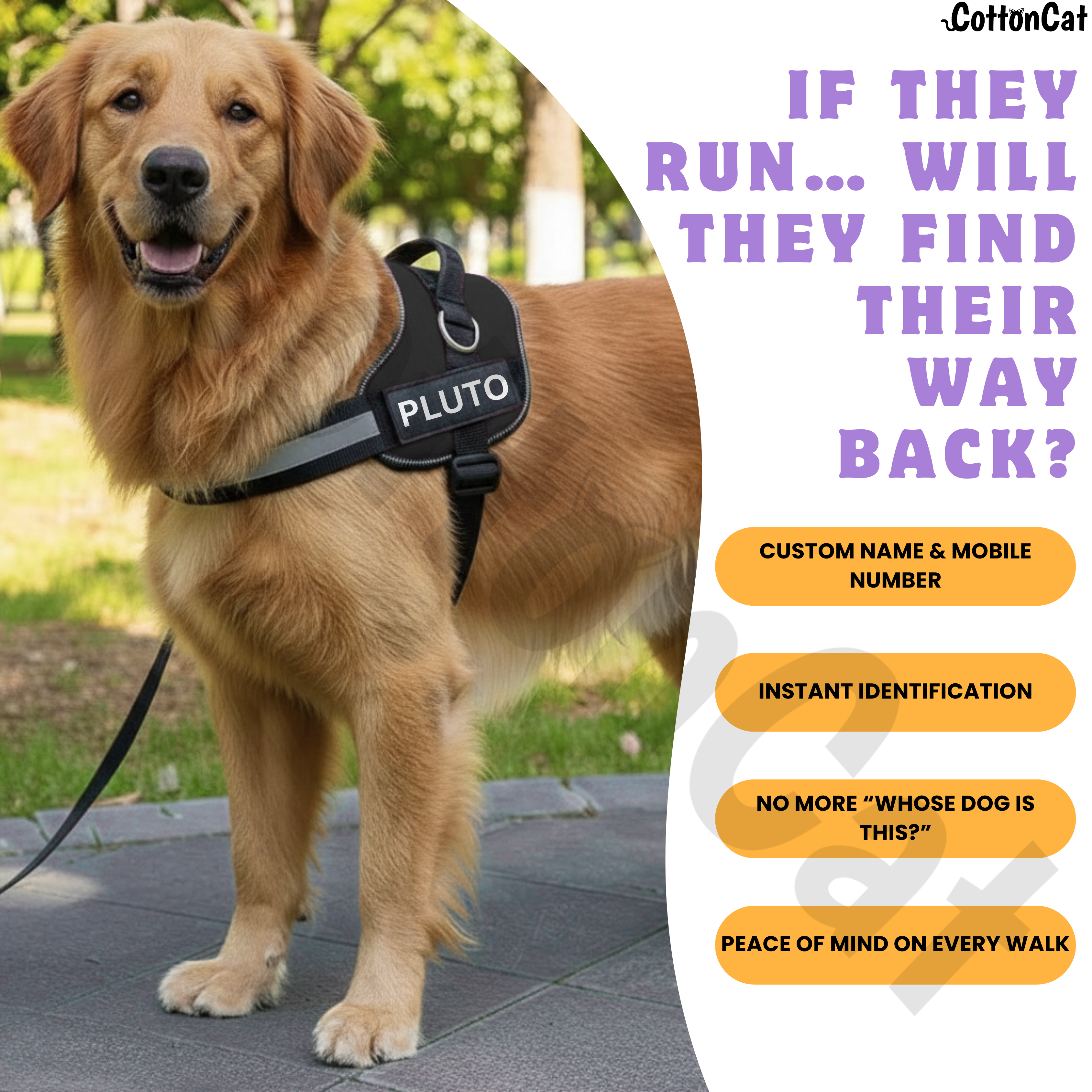 Personalized Dog Harness with Name & Phone Number Black