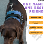 Personalized Dog Harness with Name & Phone Number Sky Blue