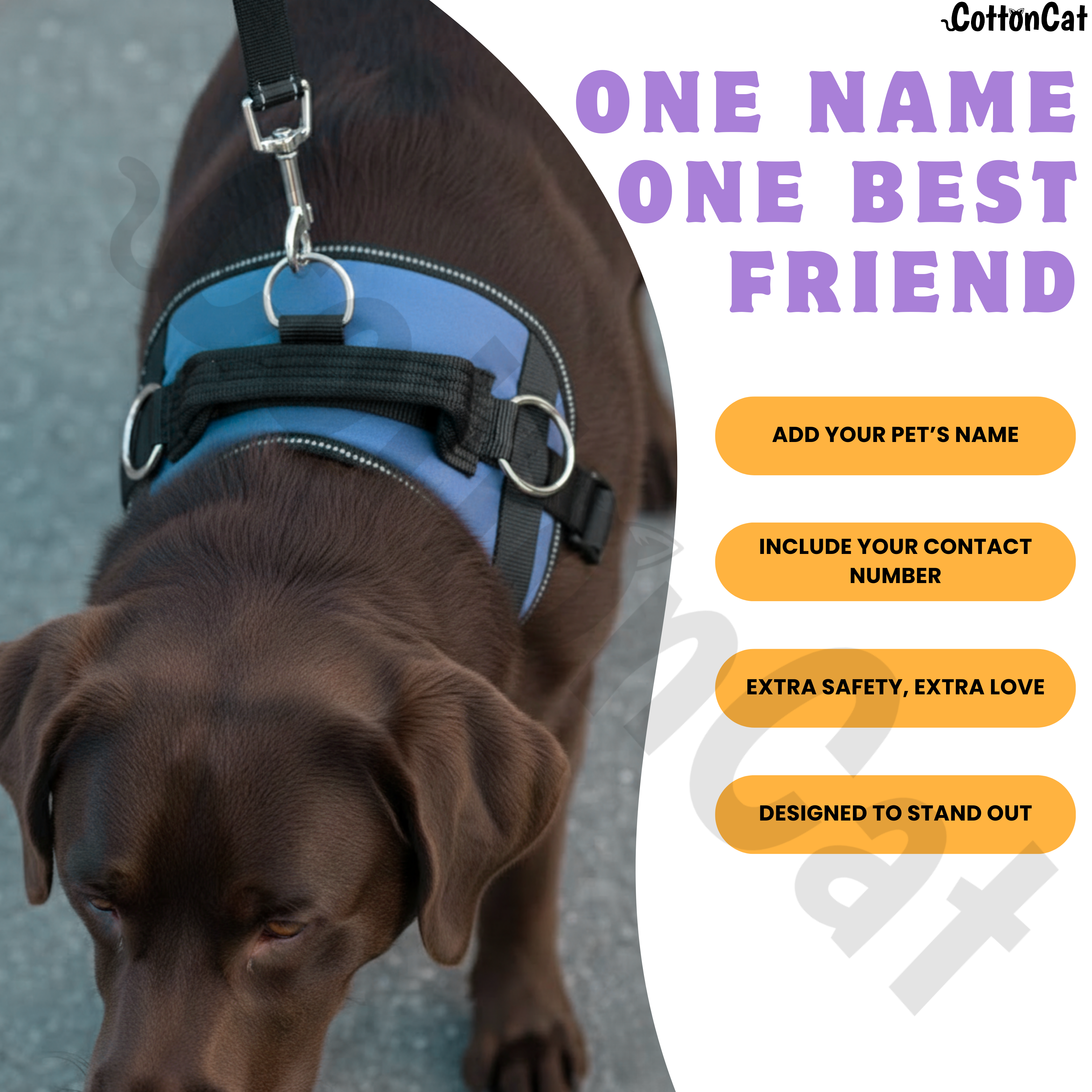 Personalized Dog Harness with Name & Phone Number Sky Blue