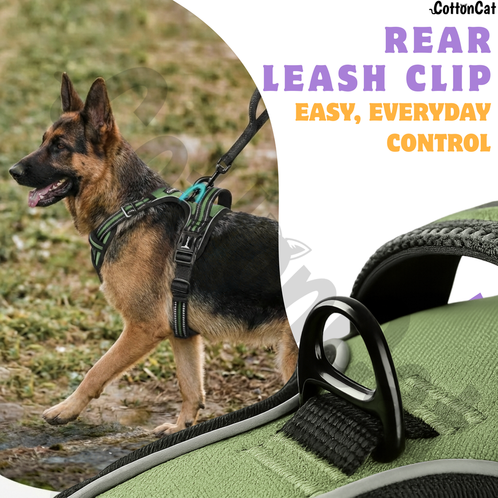 Dog Cat No Pull Harness With Reflective Leash Green